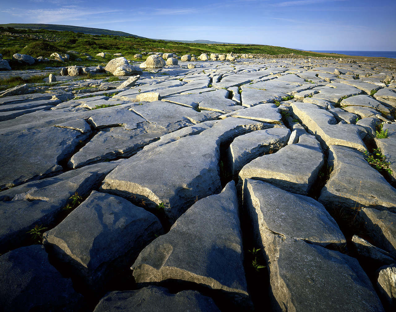 #030265-1 - Limestone Pavement, The Burren, Co. Clare, Ireland