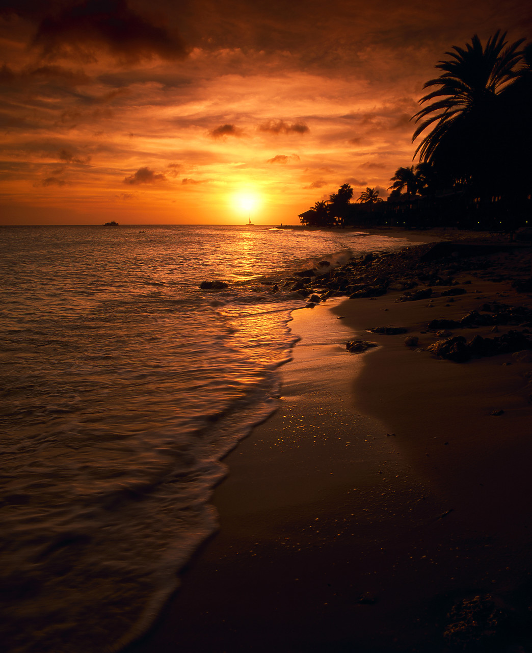 #030314-1 - Beach at Sunset, Aruba, Lesser Antilles, Caribbean