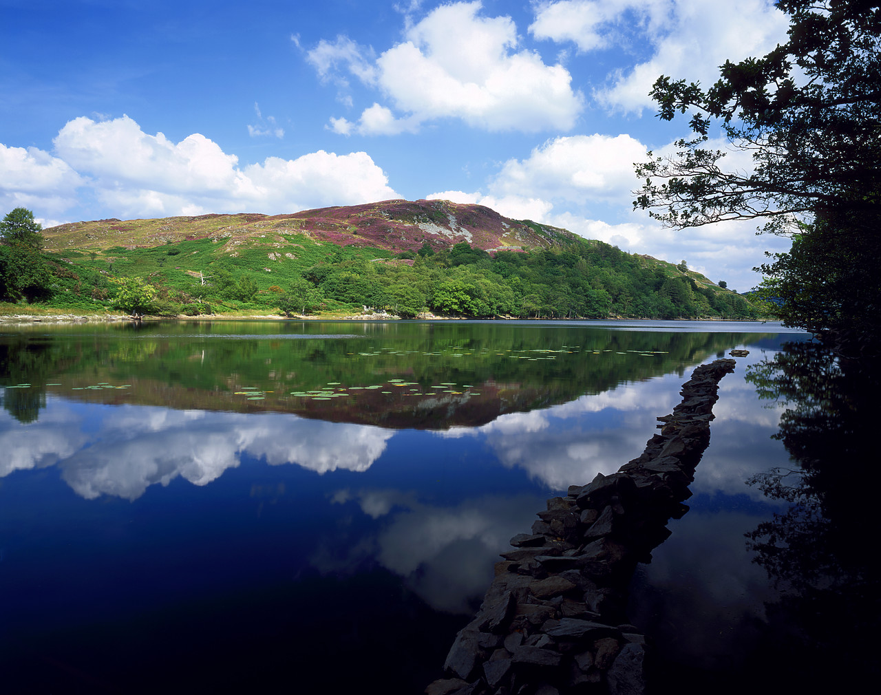 #030366-2 - Llyn Cynwch Reflections, Dolgellau, Gwynedd, Wales