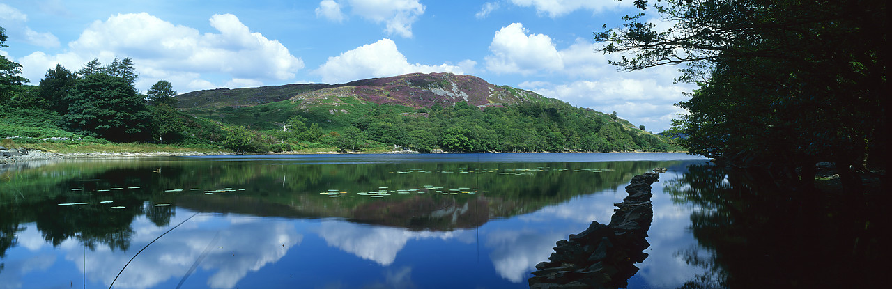 #030366-3 - Llyn Cynwch Reflections, Dolgellau, Gwynedd, Wales