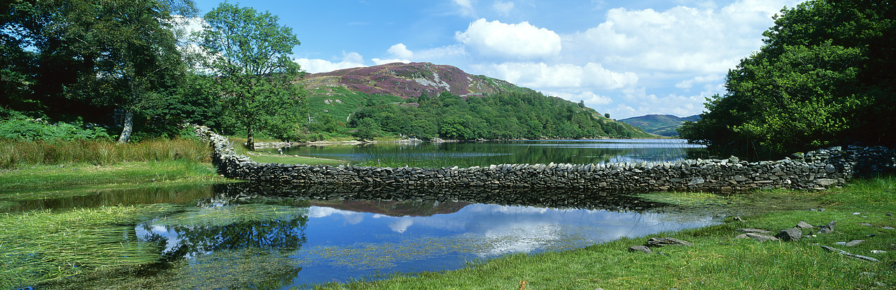 #030367-7 - Llyn Cynwch Reflections, Dolgellau, Gwynedd, Wales