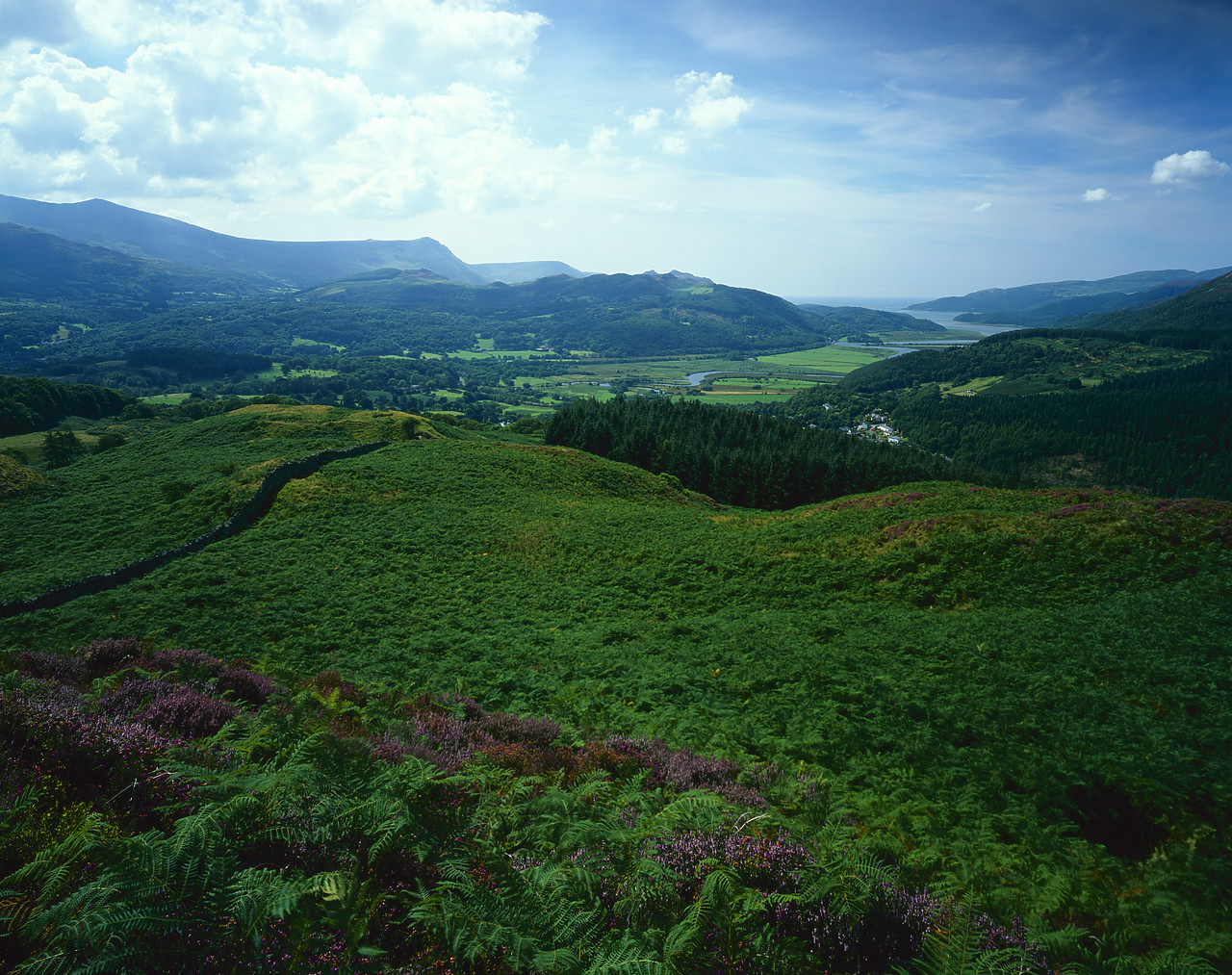 #030369-1 - View over Mawddach Estuary from Precipice Walk, Dolgellau, Gwynedd, Wales