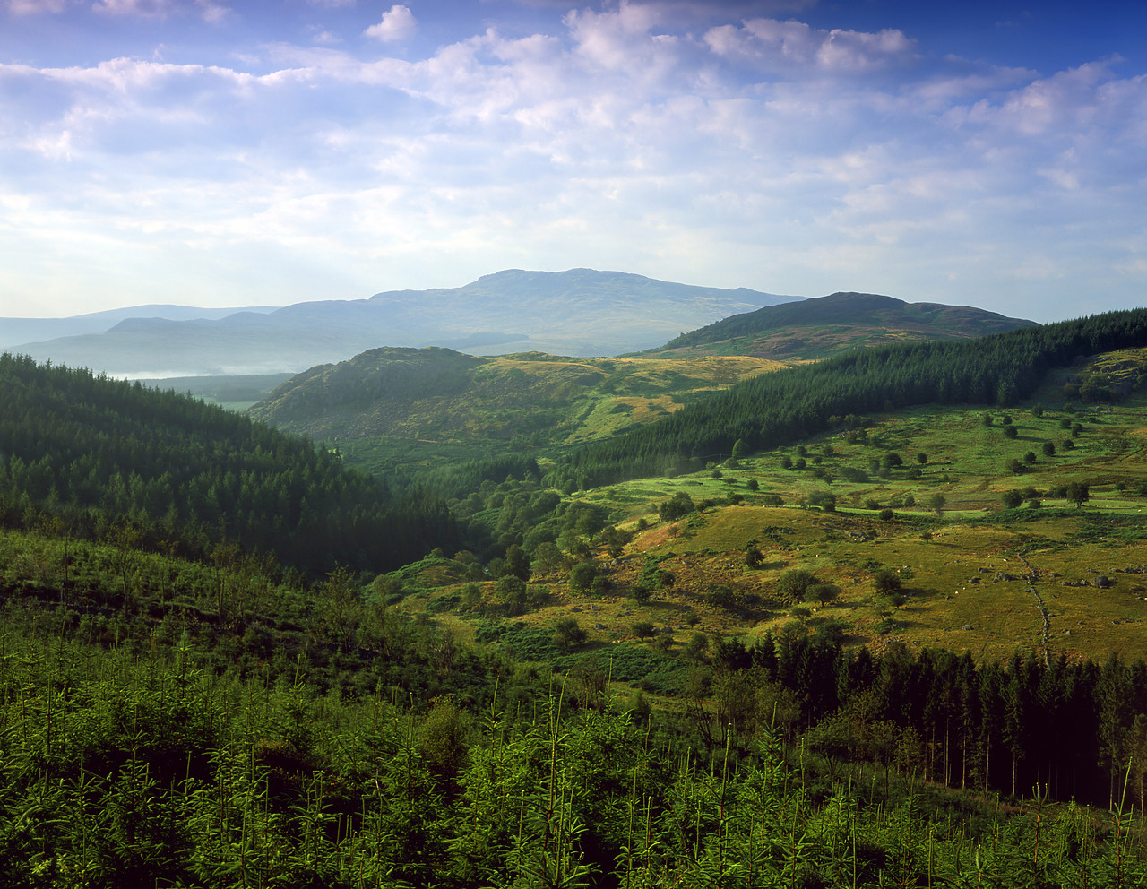 #030370-1 - View towards Aran, Snowdonia National Park, Gwynedd, Wales