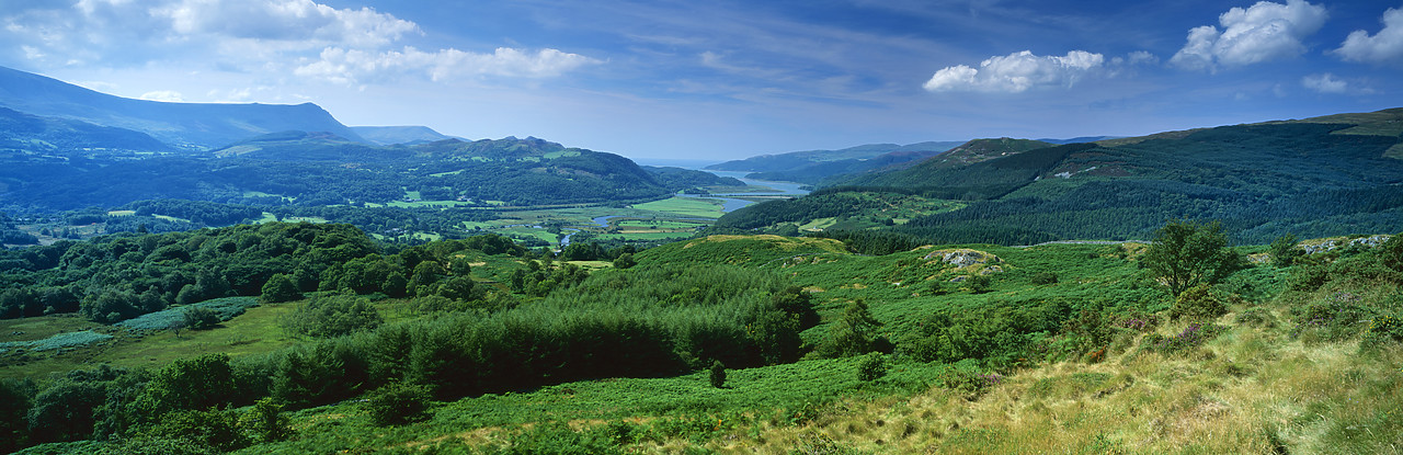 #030376-1 - View over Mawddach Estuary, Dolgellau, Gwynedd, Wales