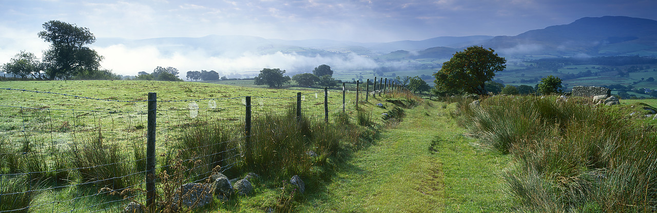 #030377-1 - Mist in Valley, near Parc, Gwynedd, Wales