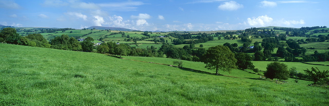 #030378-3 - Countryside near Parc, Snowdonia National Park, Gwynedd, Wales