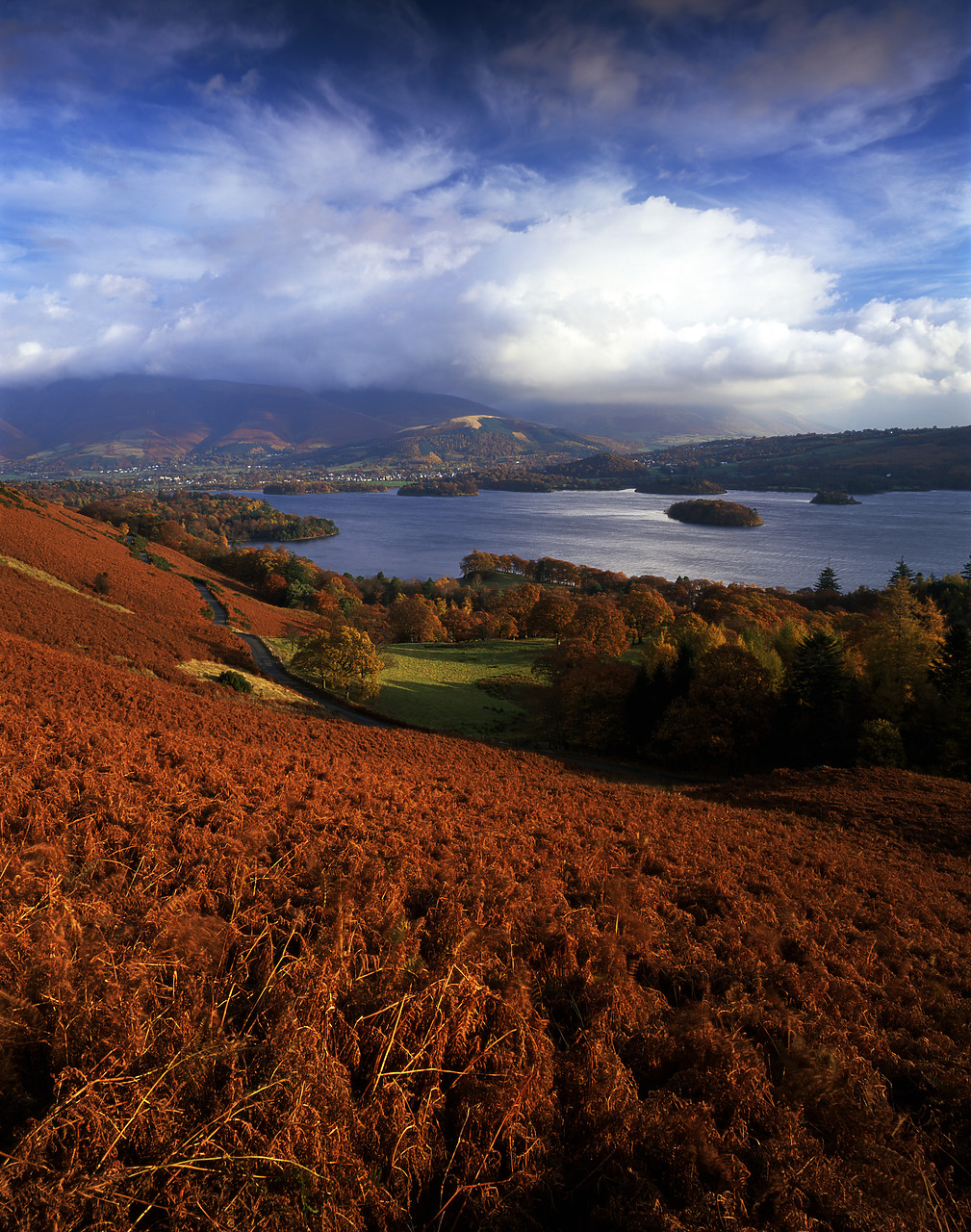 #030392-5 - Derwent Water in Autumn, Lake District National Park, Cumbria, England