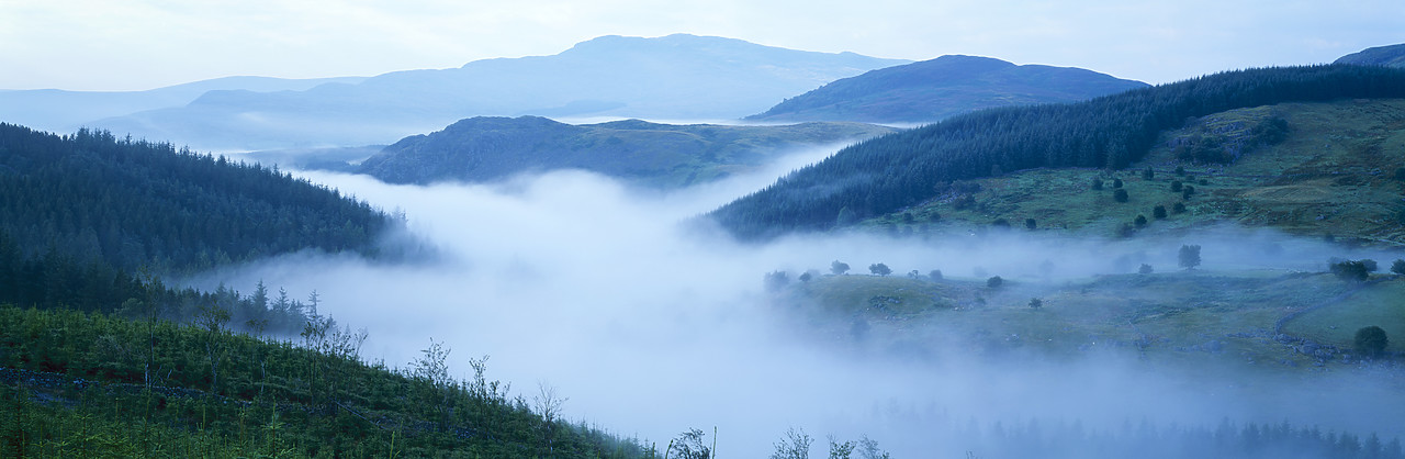 #030409-1 - Mist in Valley, near Dolhendre, Gwynedd, Wales