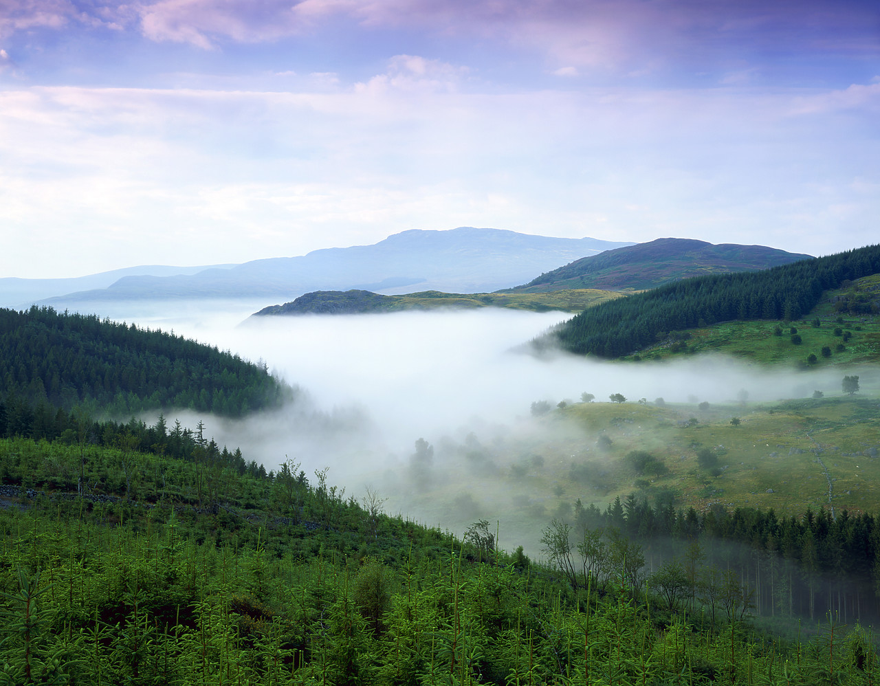 #030409-4 - Mist in Valley, near Dolhendre, Gwynedd, Wales