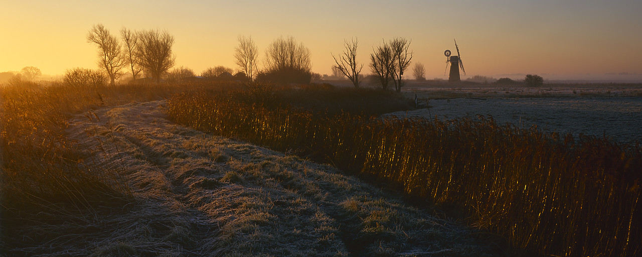 #030470-2 - Frosty Path Leading to St. Benet's Mill, Norfolk Broads National Park, Norfolk, England