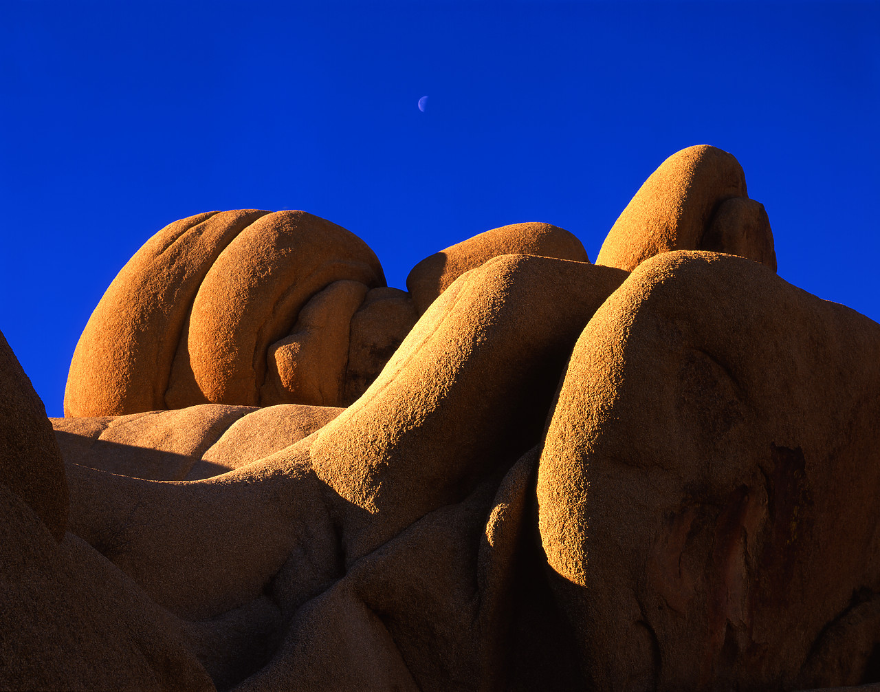 #040012-2 - Jumbo Rocks, Joshua Tree National Park, California, USA