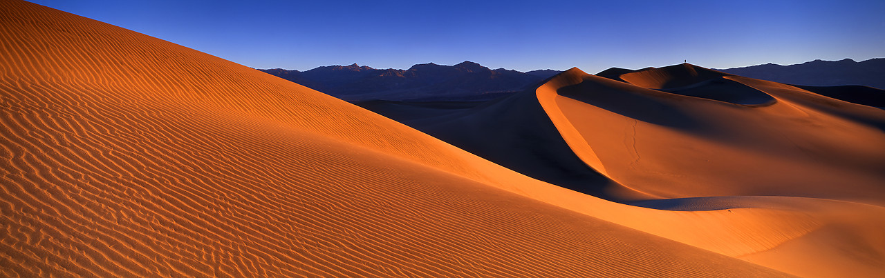 #040017-1 - Mesquite Sand Dunes, Death Valley National Park, California, USA