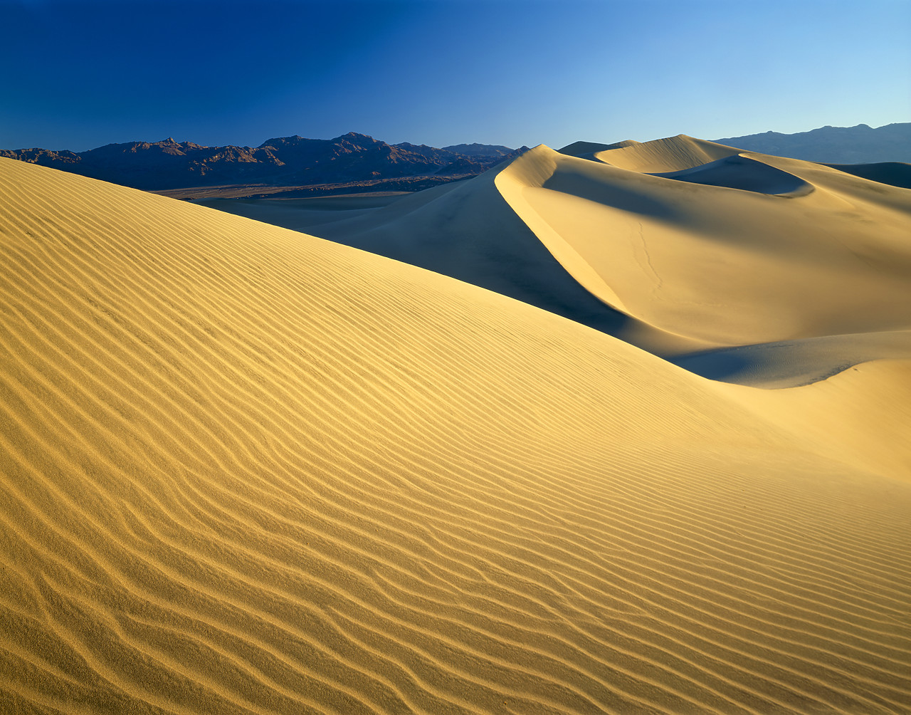 #040017-5 - Mesquite Dunes, Death Valley National Park, California, USA