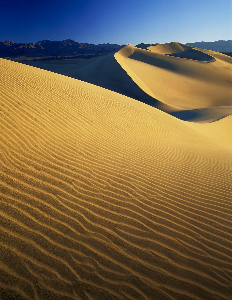 #040017-6 - Mesquite Dunes, Death Valley National Park, California, USA