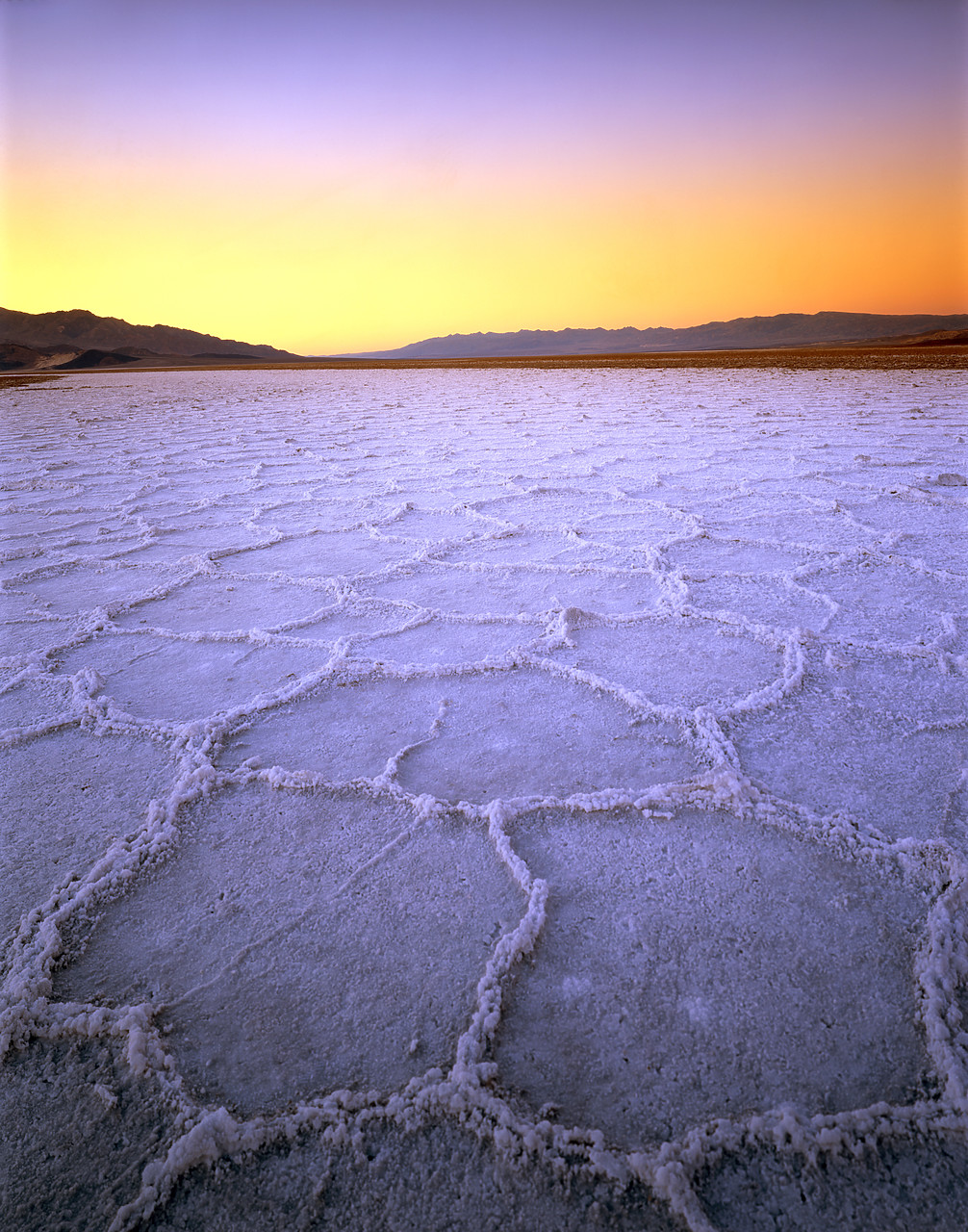 #040019-1 - Salt Polygons at Dusk, Death Valley National Park, California, USA