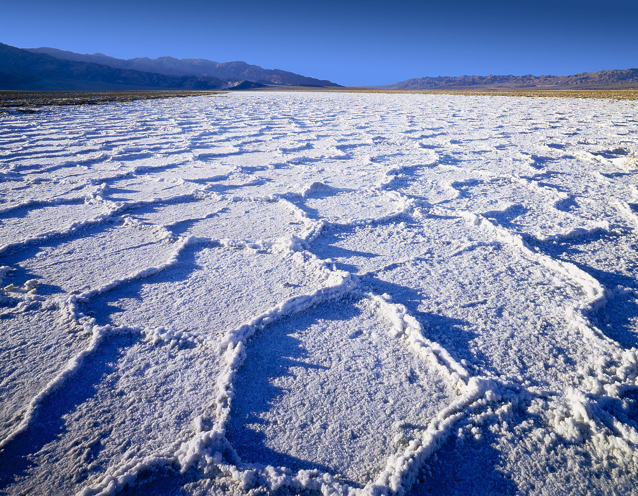 #040021-1 - Salt Polygons, Death Valley National Park, California, USA