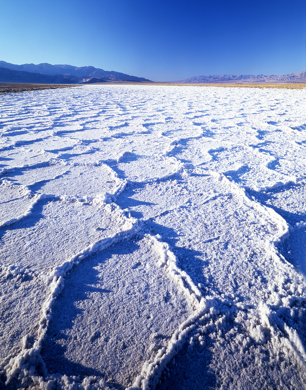 #040021-3 - Salt Polygons, Death Valley National Park, California, USA