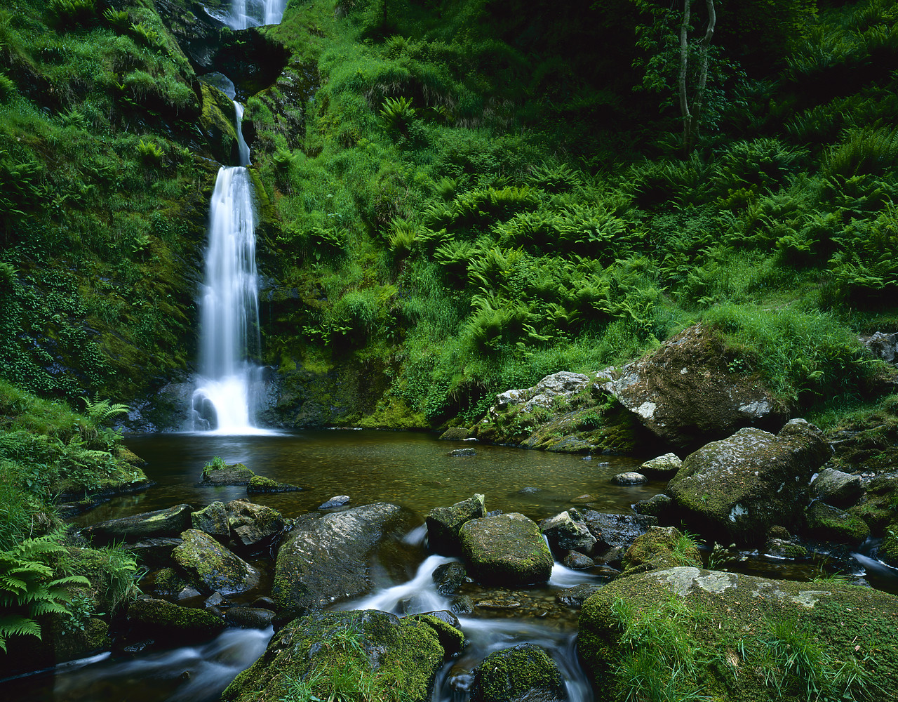 #040123-7 - Lower Pistyll Rhaedr Waterfall, Powys, Wales