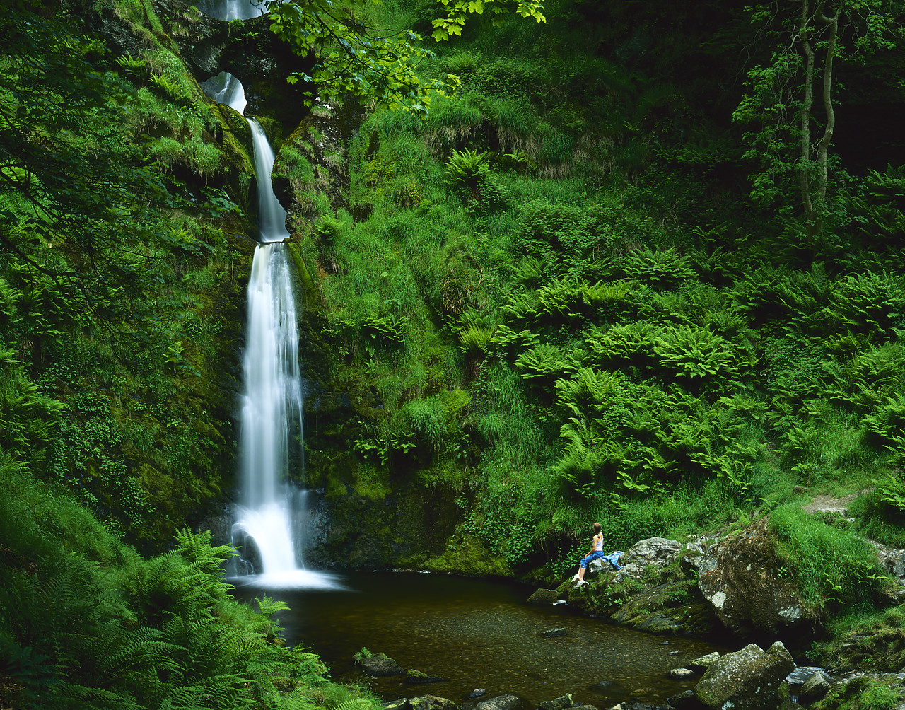 #040125-3 - Lower Pistyll Rhaedr Waterfall, Powys, Wales