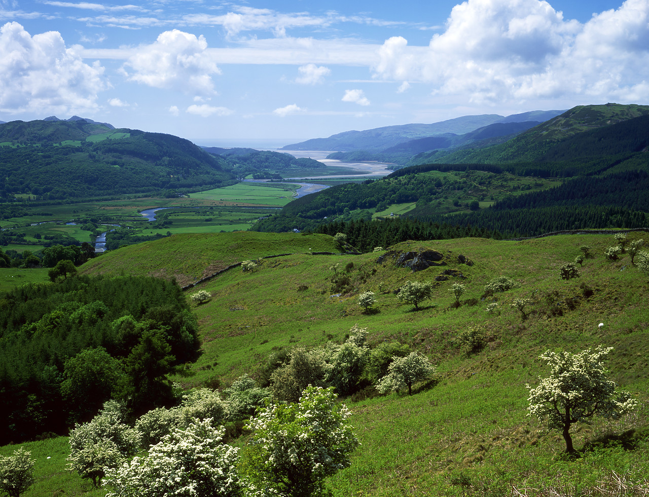 #040126-1 - View over Mawddach Estuary, Dolgellau, Snowdonia National Park, Wales