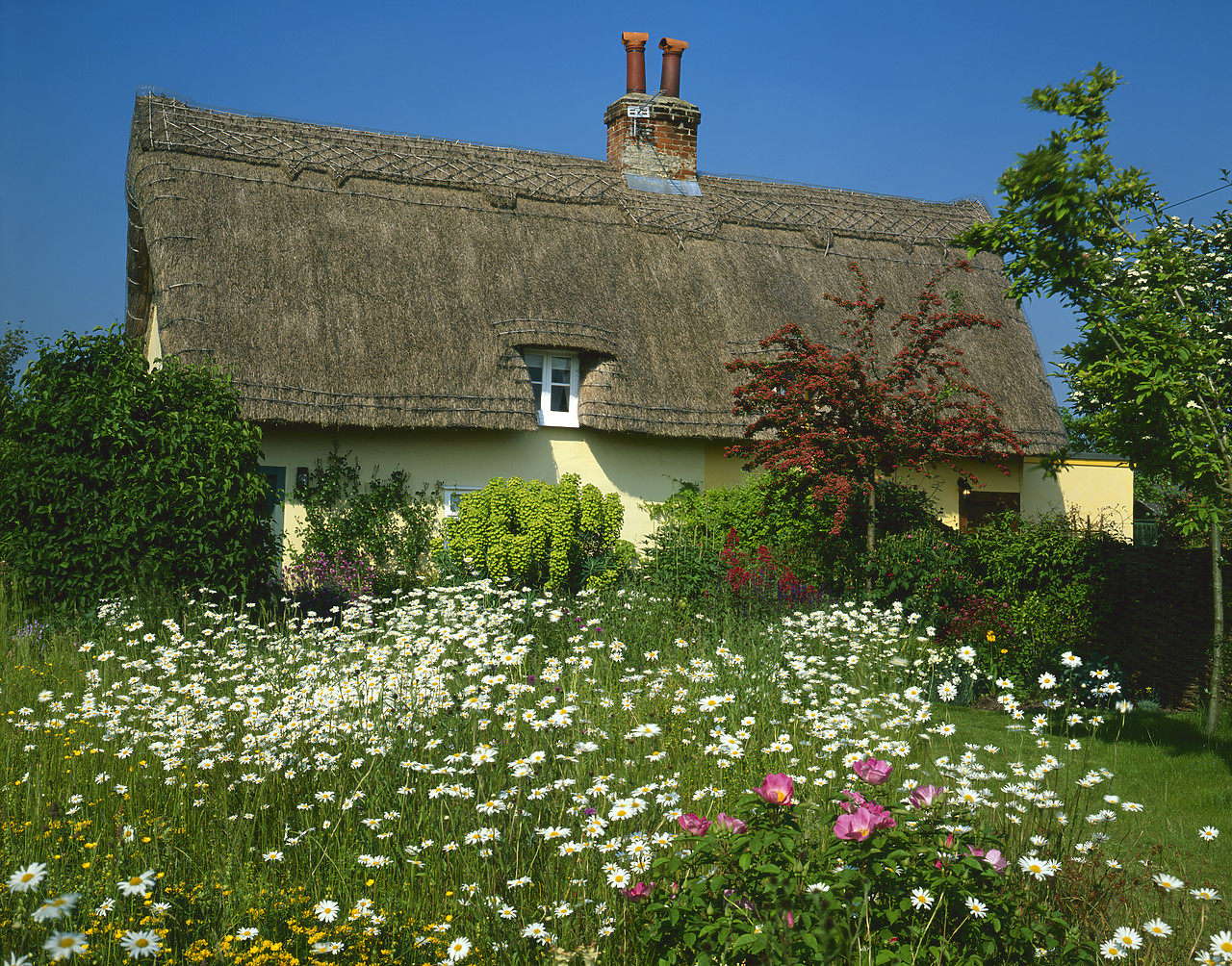 #040131-3 - Thatched Cottage & Garden, Suffolk, England