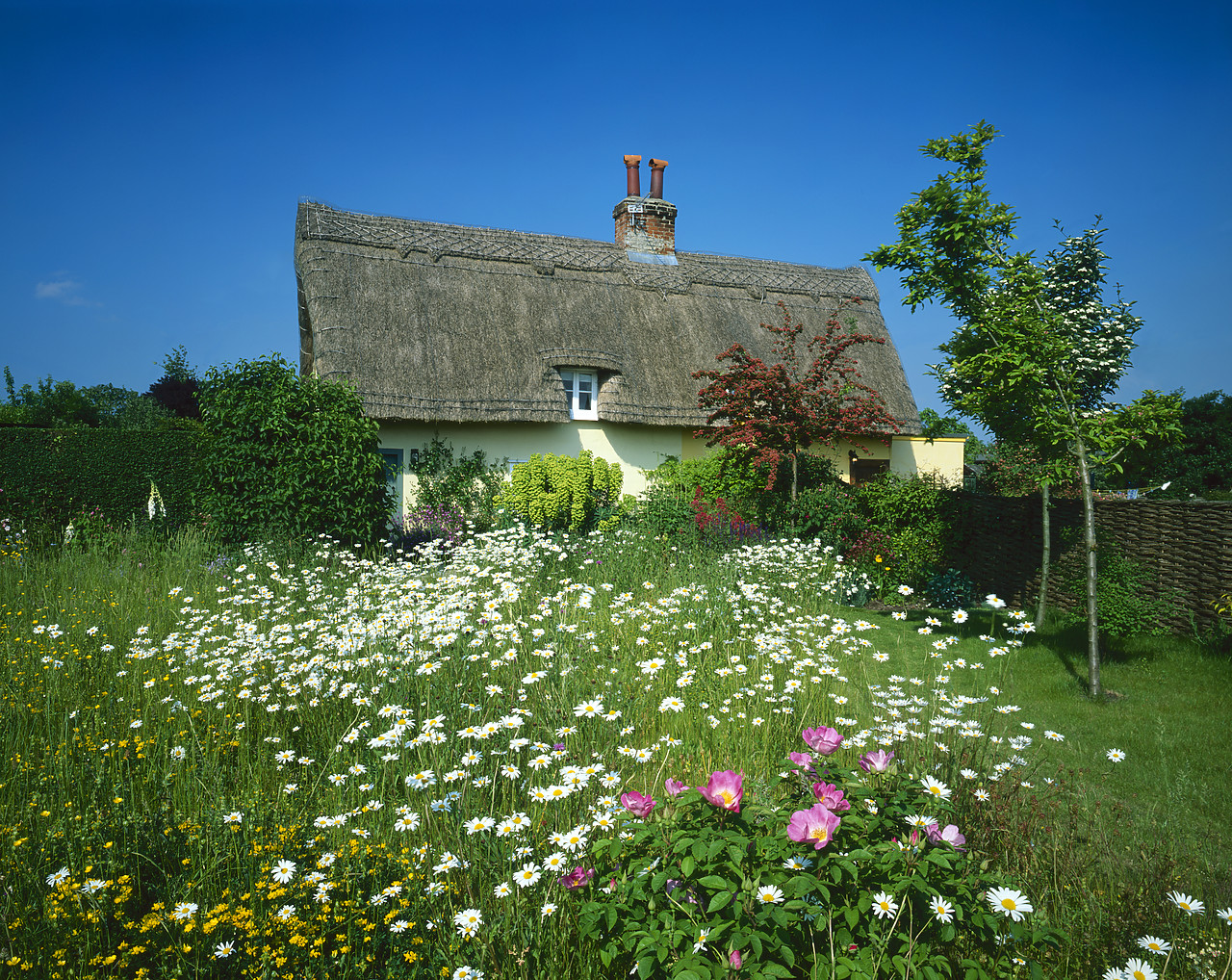 #040131-5 - Thatched Cottage & Garden, Suffolk, England