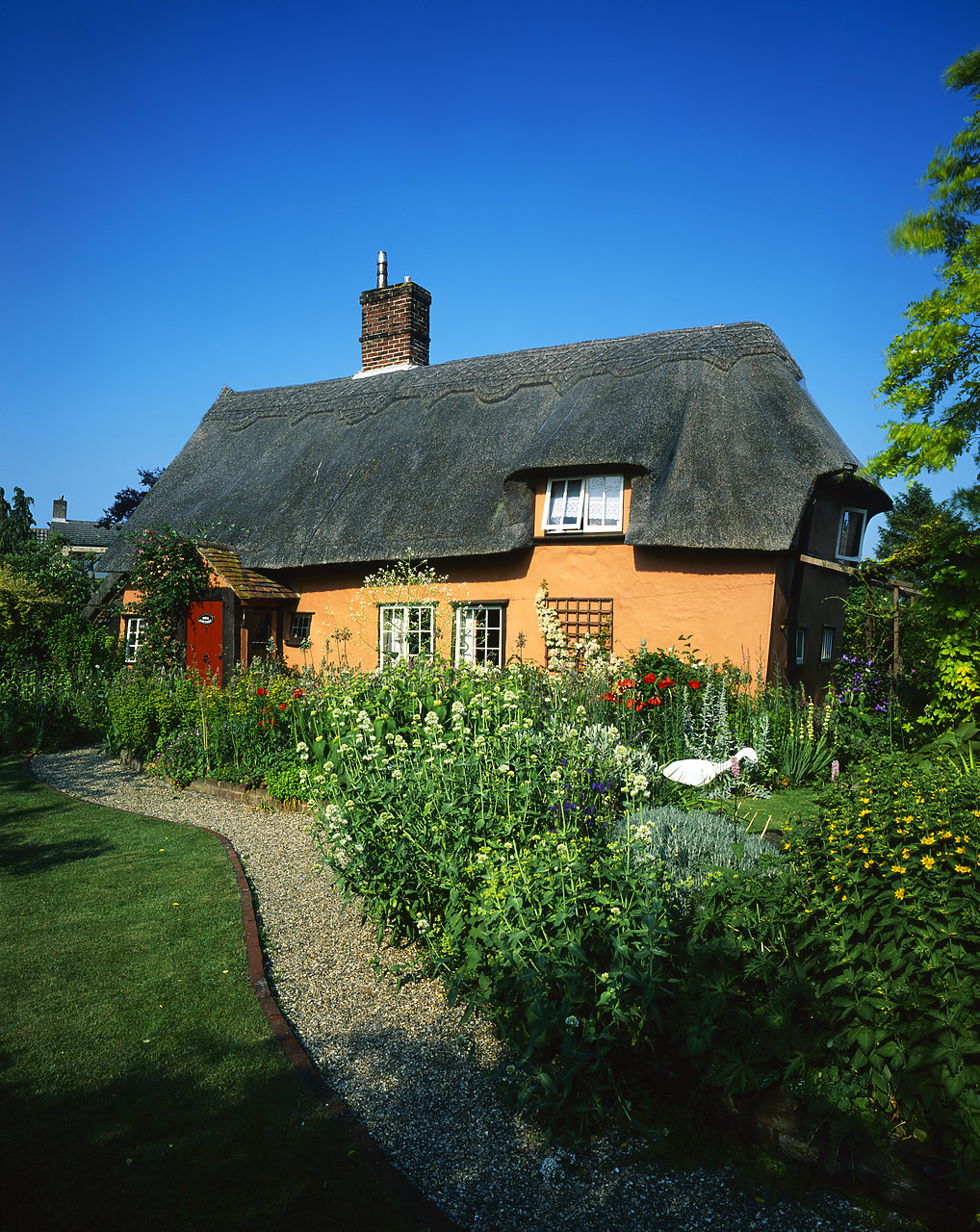 #040141-4 - Thatched Cottage & Garden, Suffolk, England