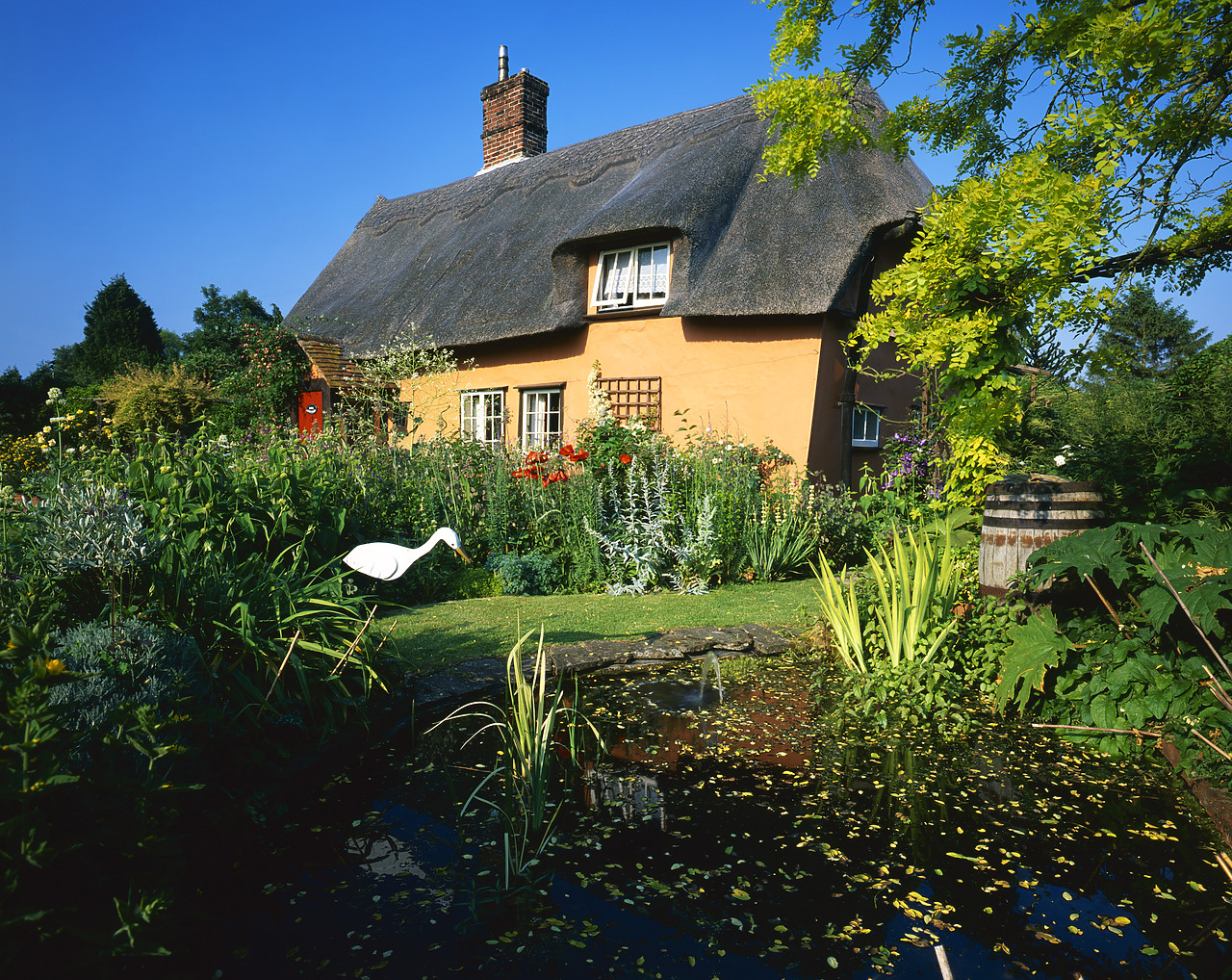 #040142-1 - Thatched Cottage & Garden Pond, Suffolk, England