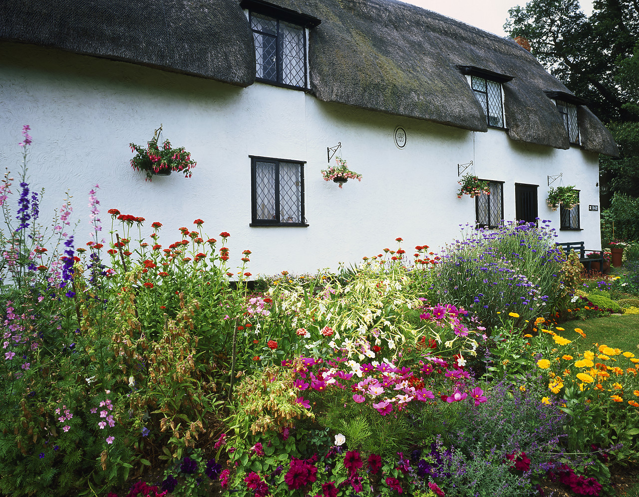 #040152-2 - Thatched Cottage & Garden, Finchingfield, Essex, England