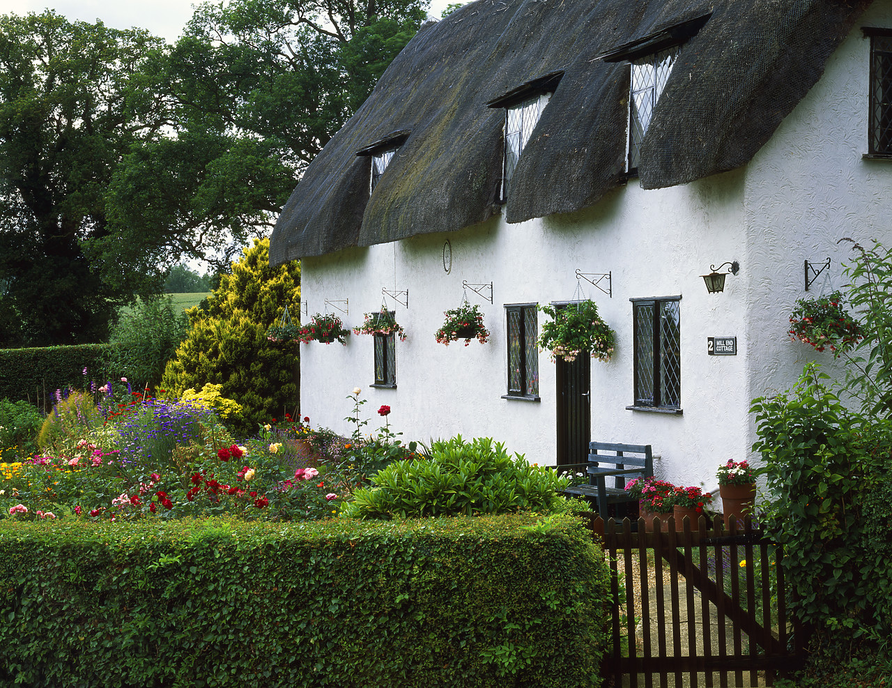 #040153-1 - Thatched Cottage & Garden, Finchingfield, Essex, England