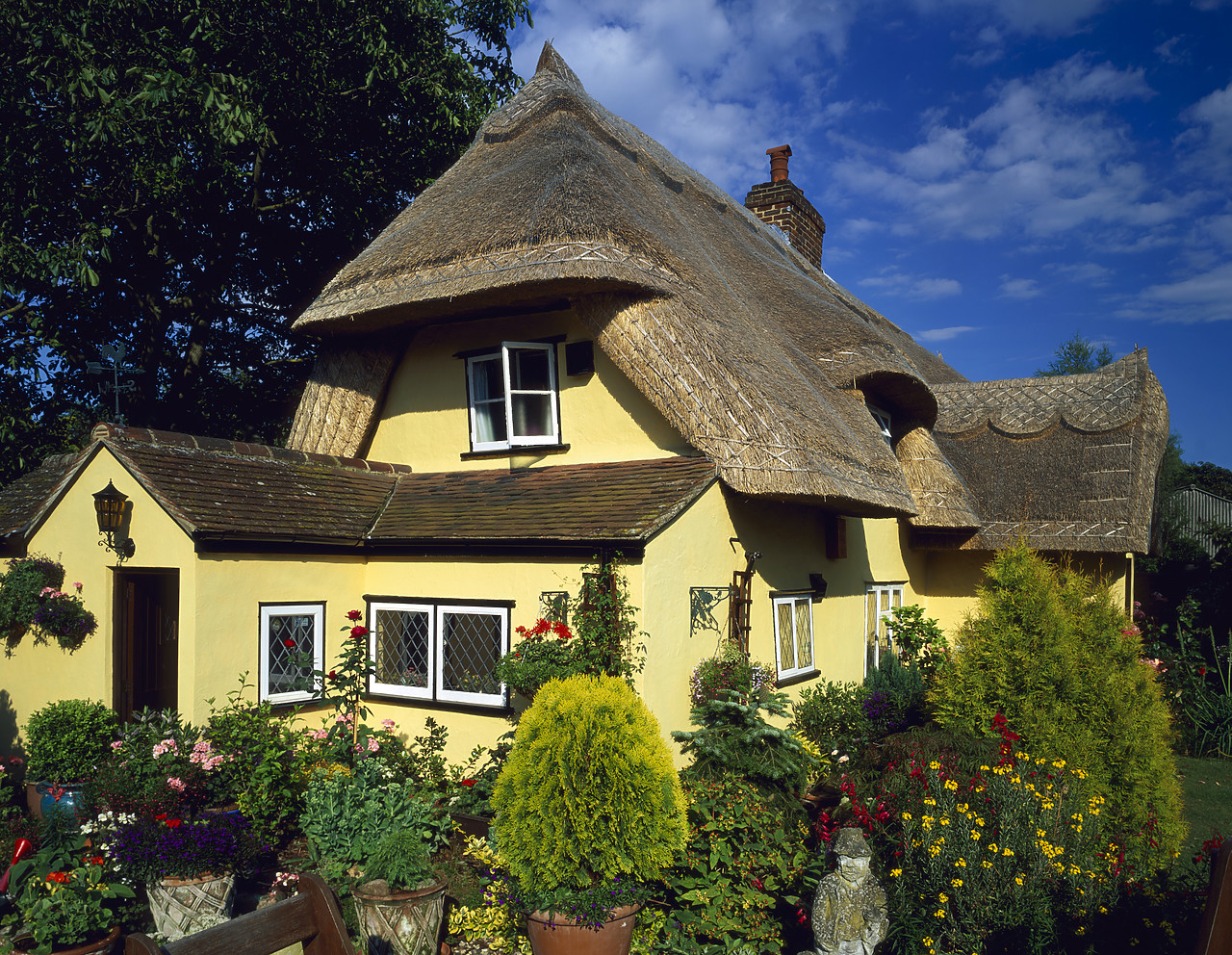 #040158-1 - Thatched Cottage & Garden, Essex, England