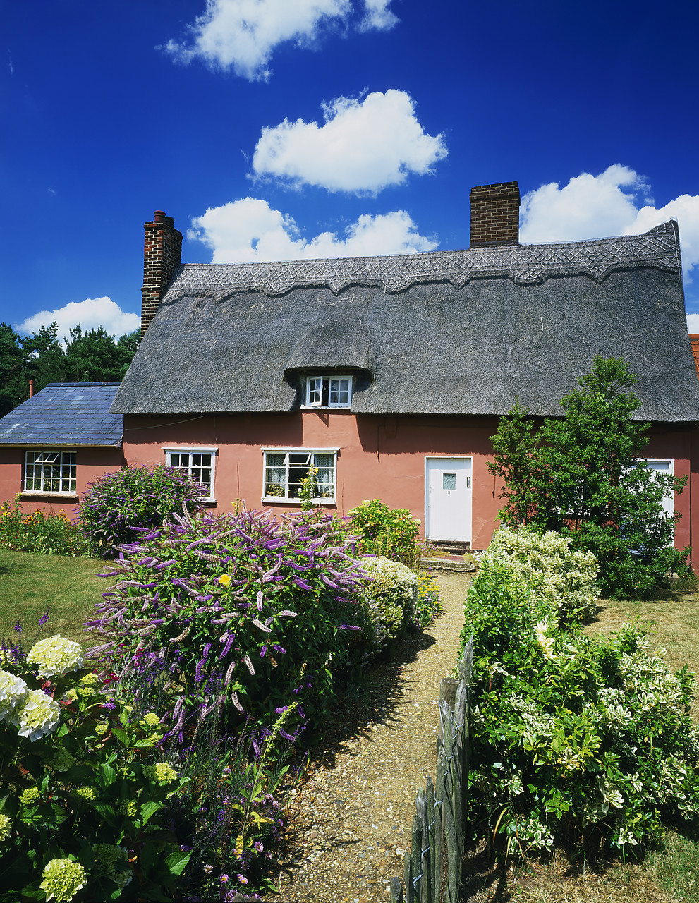 #040161-6 - Thatched Cottage & Garden, Essex, England