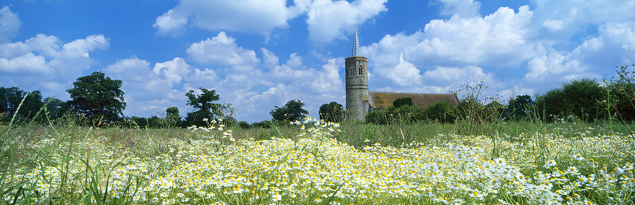 #040215-3 - Church & Field of Chamomile, Shimpling, Norfolk, England