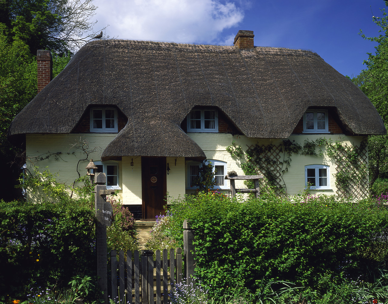 #050121-1 - Thatched Cottage, Wherwell, Hampshire, England