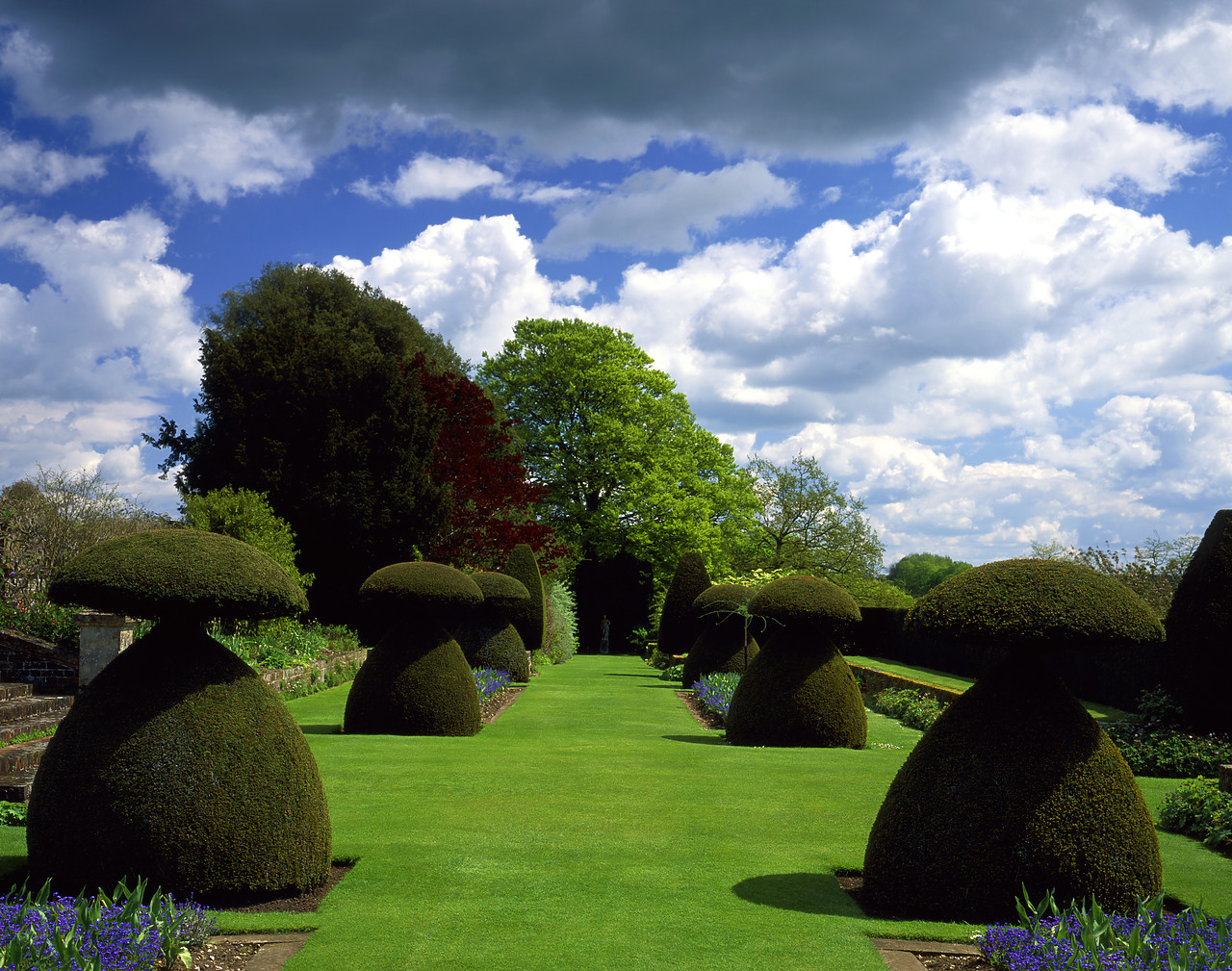 #050125-3 - Hinton Ampner Garden, Bramdean, Hampshire, England