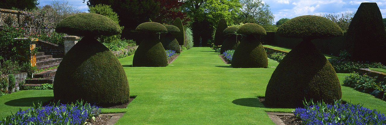 #050125-9 - Hinton Ampner Gardens, Bramdean, Hampshire, England