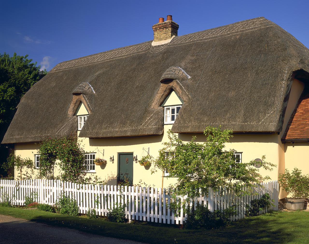 #050131-1 - Thatched Cottage, Barrington, Cambridgeshire, England