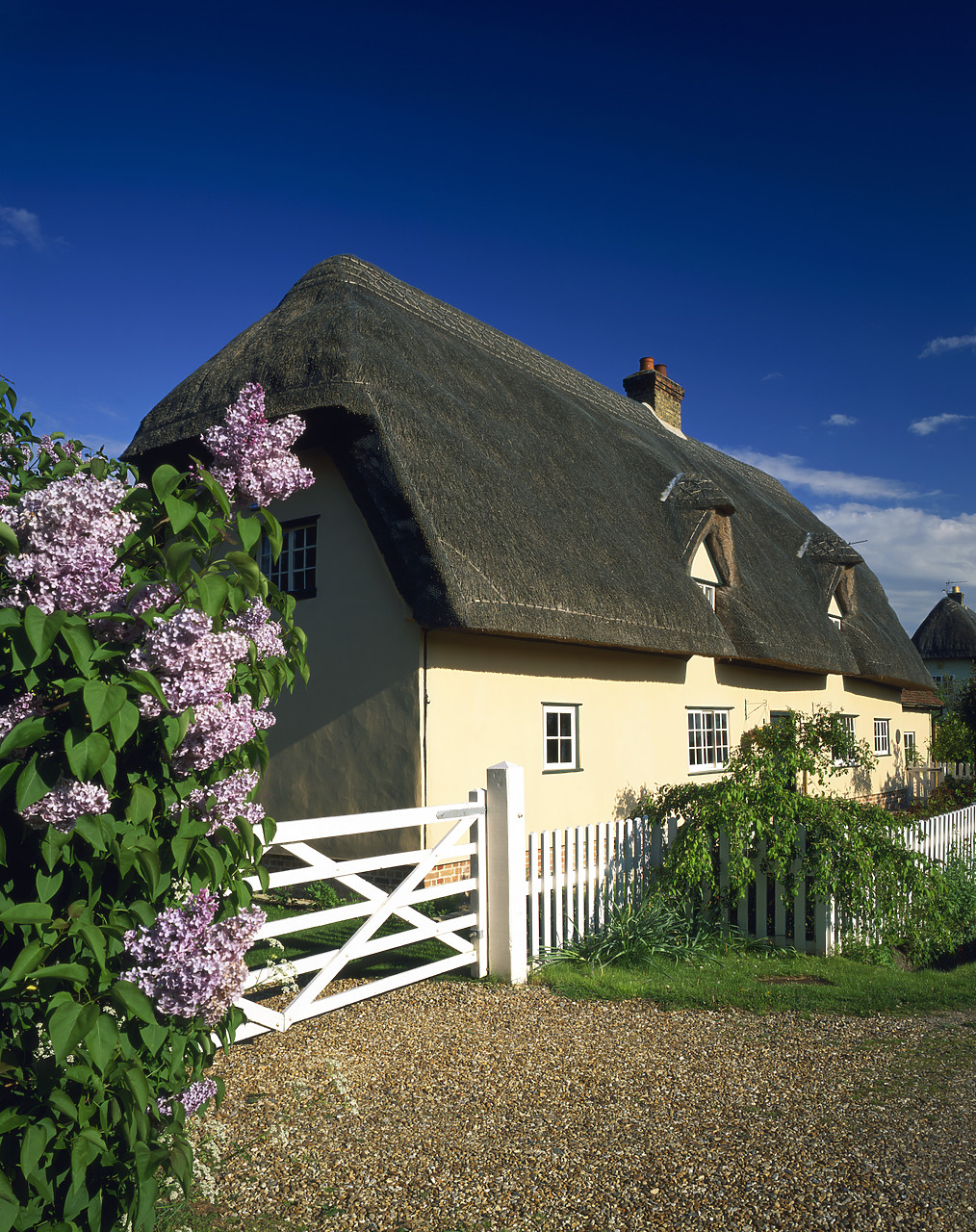 #050132-4 - Thatched Cottage, Barrington, Cambridgeshire, England