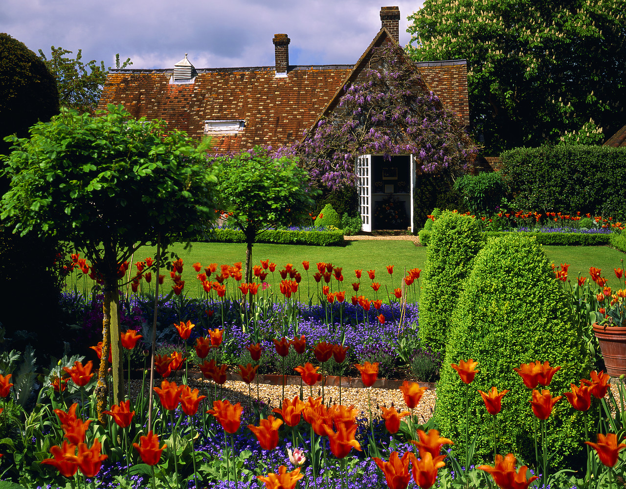 #050208-1 - Chenies Manor Garden in Spring, Chenies, Buckinghamshire, England