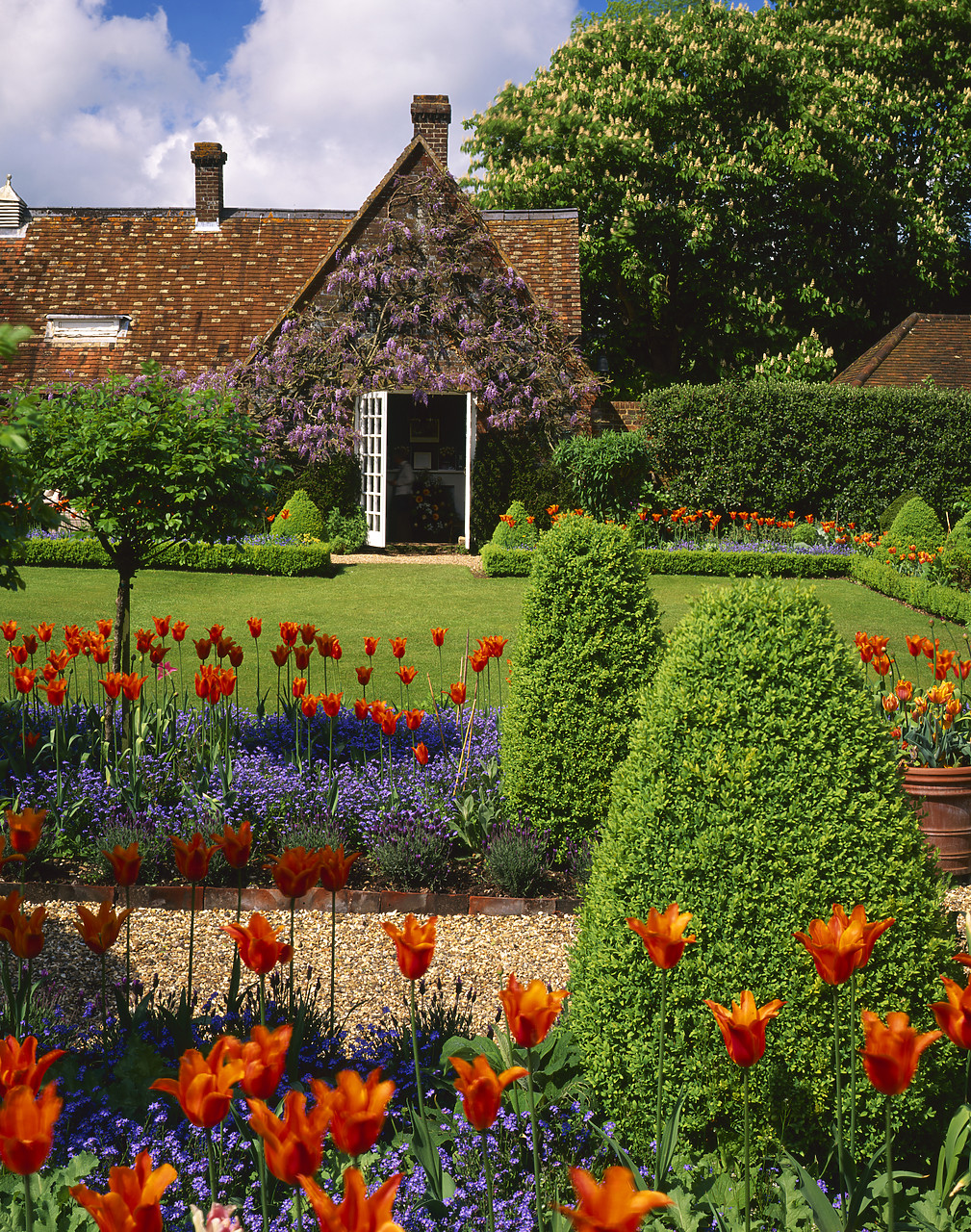 #050208-3 - Chenies Manor Garden in Spring, Chenies, Buckinghamshire, England