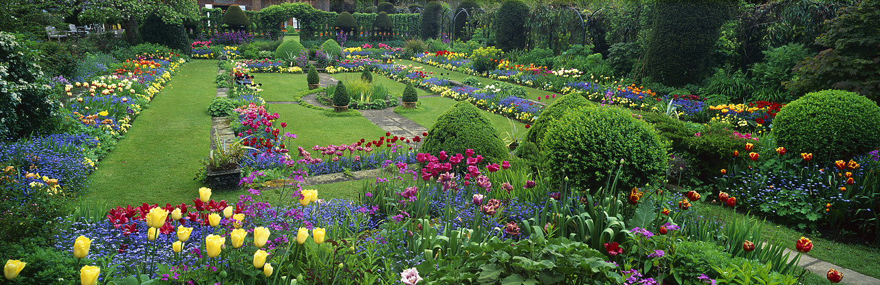 #050209-6 - Chenies Manor Garden in Spring, Chenies, Buckinghamshire, England