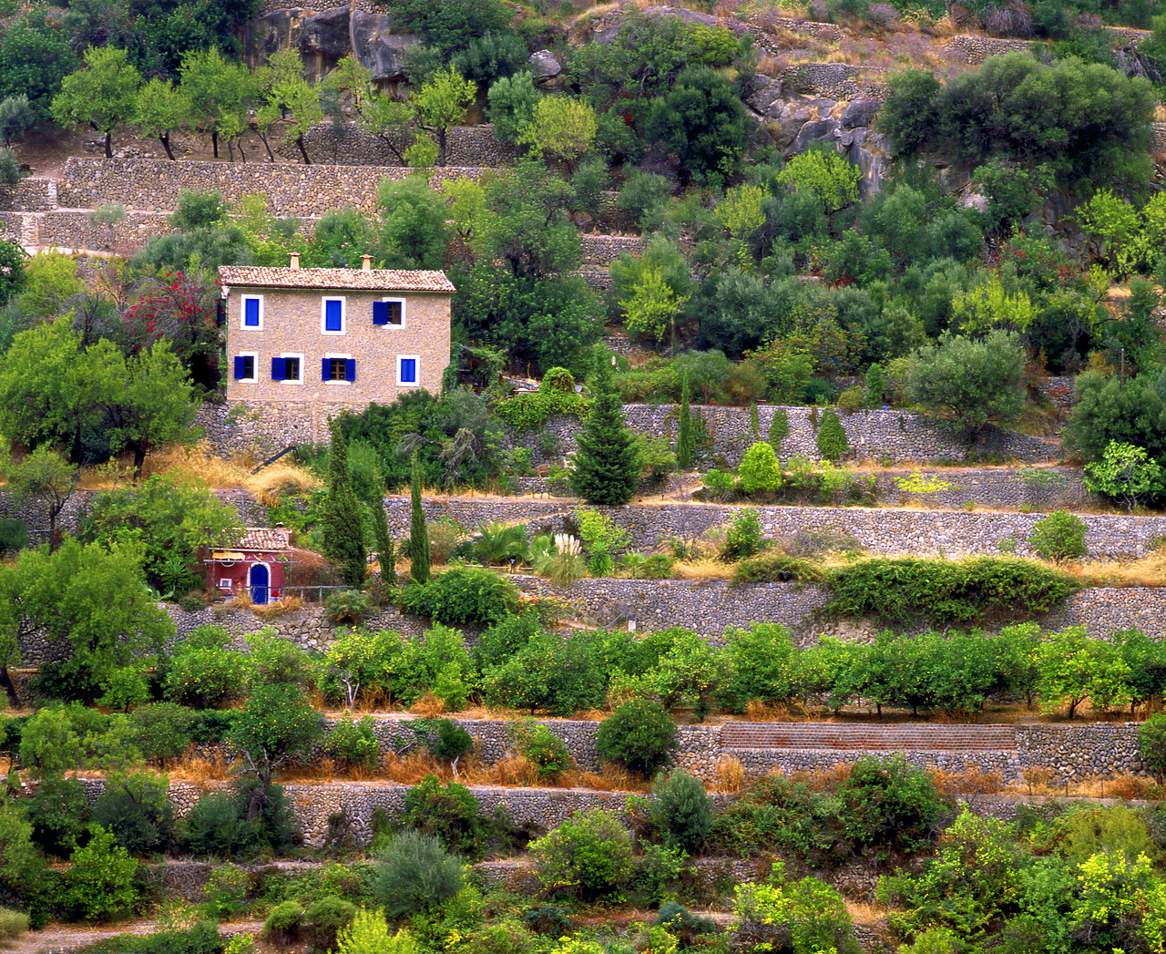 #050236-1 - Mallorcan Villa & Terracing, Deia, Mallorca, Spain