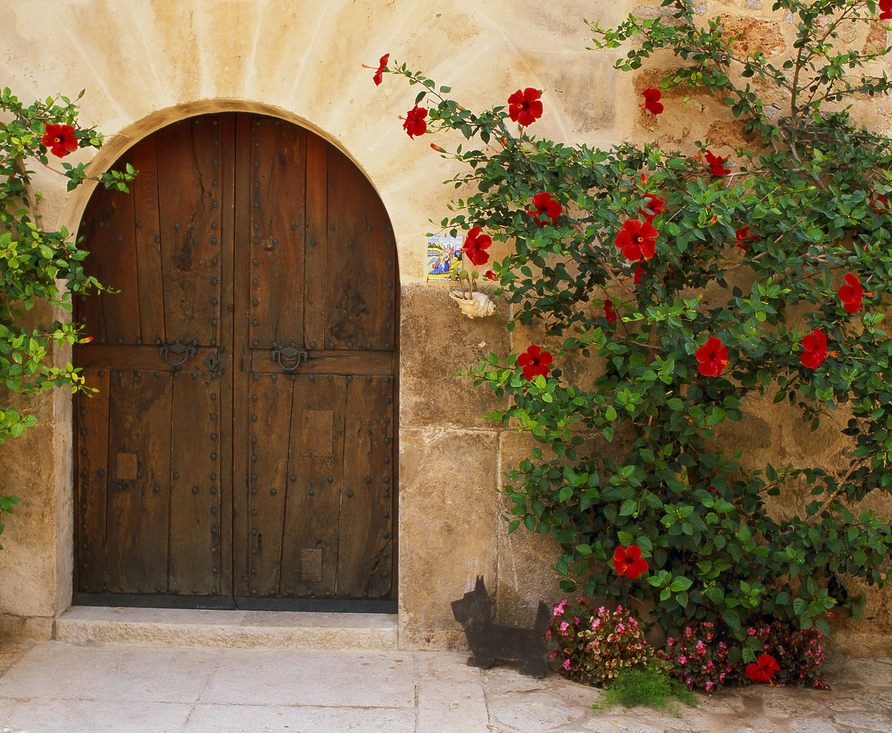 #050260-1 - Wooden Arched Door & Hibiscus, Valldemossa, Mallorca, Spain