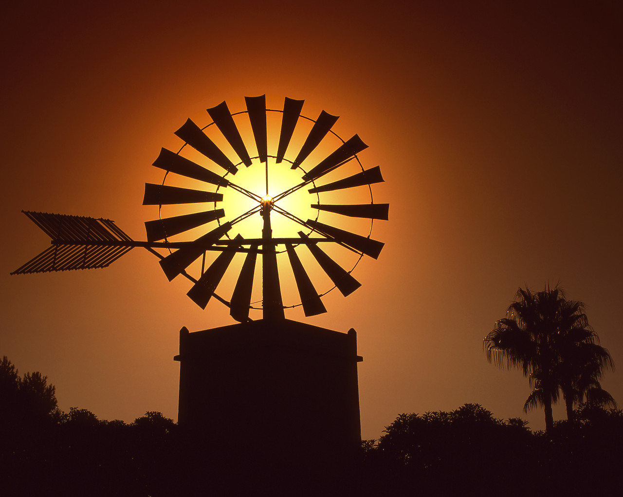 #050275-1 - Traditional Windmill in Silhouette, Palma, Mallorca, Spain
