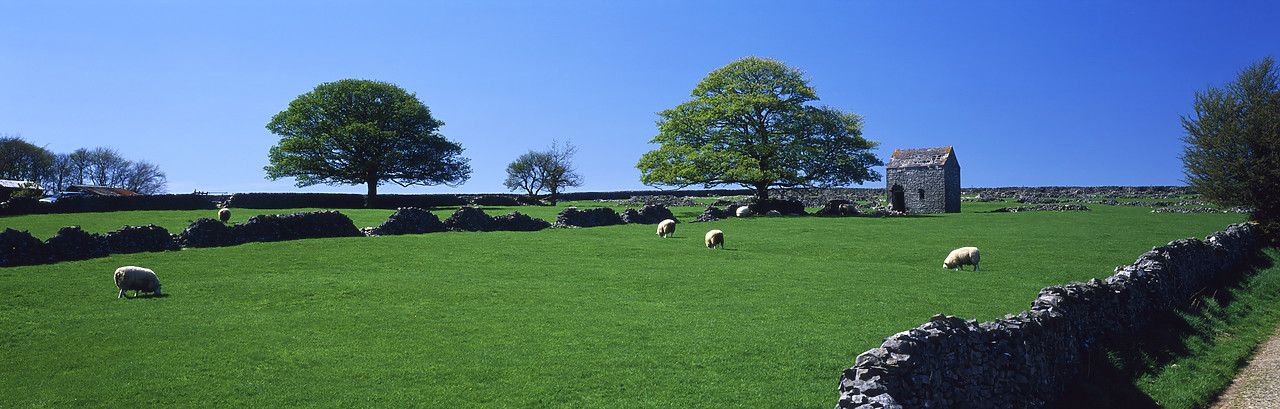 #060030-1 - Grazing Sheep & Barn near Tideswell, Peak District National Park, Derbyshire, England