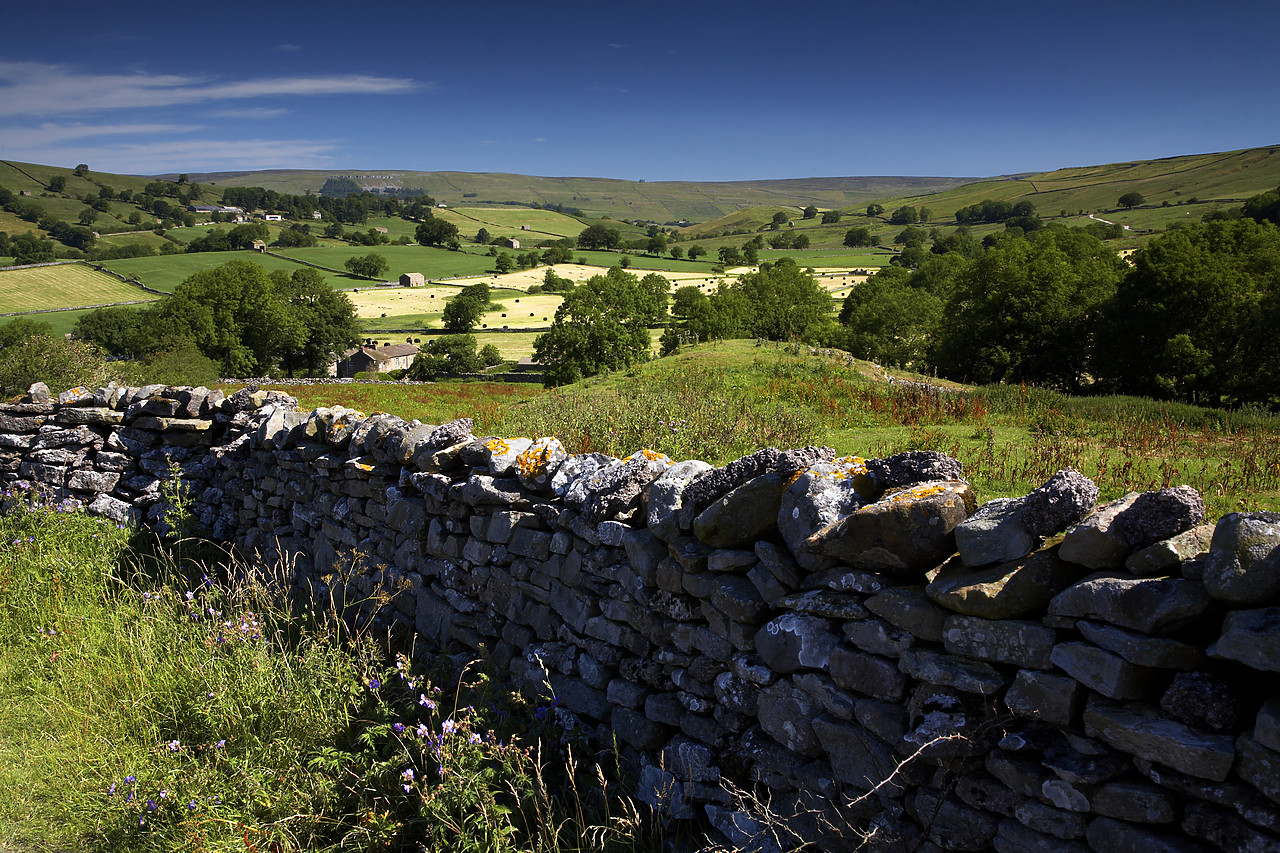#060129-1 - Stone Wall & Countryside, near Askrigg, Yorkshire Dales, England