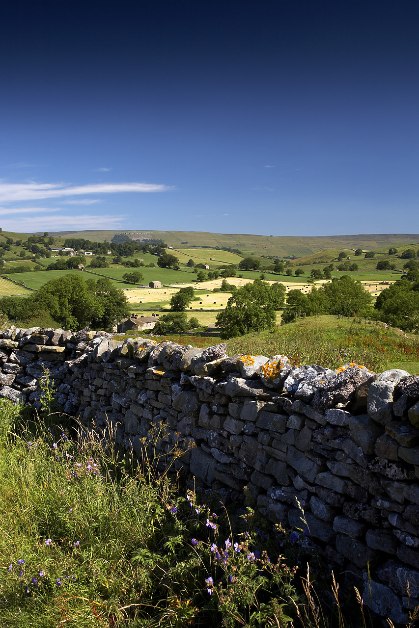 #060129-2 - Stone Wall & Countryside, near Askrigg, Yorkshire Dales, England