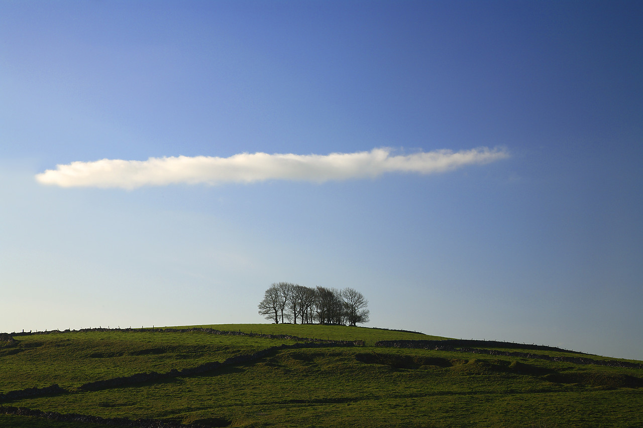 #060138-1 - Trees on Hillside, near Tideswell, Peak District National Park, Derbyshire, England