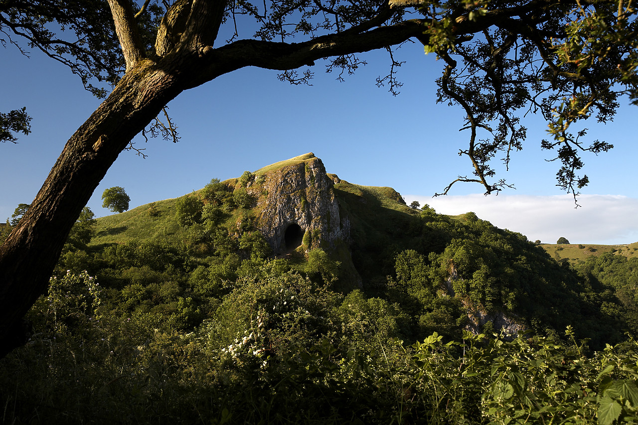 #060162-1 - Thor's Cave framed by Tree, Wetton, Peak District National Park, Derbyshire, England