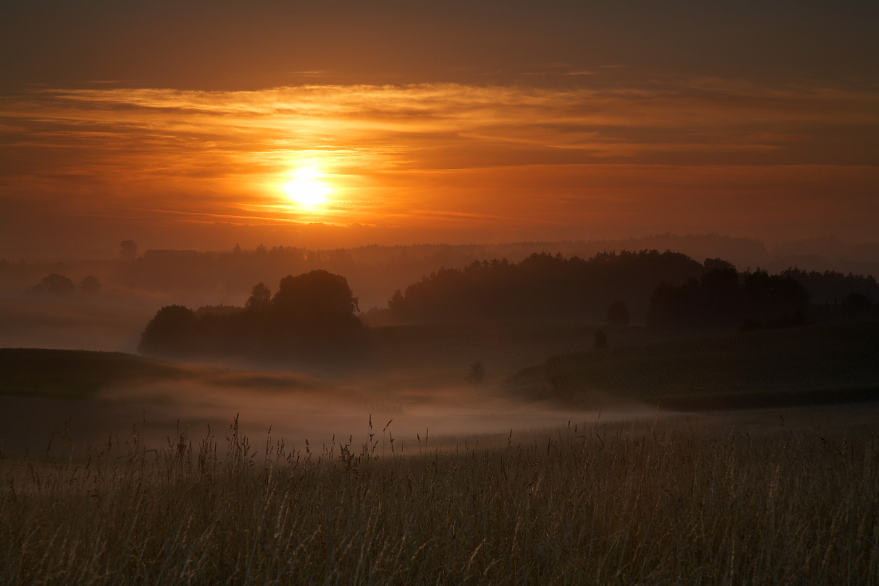 #060201-3 - Misty Landscape at Sunrise, near Simbach, Germany